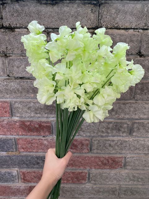 image_885E98B6-893D-4589-B821-DB31ED0A5A5F_1772693137