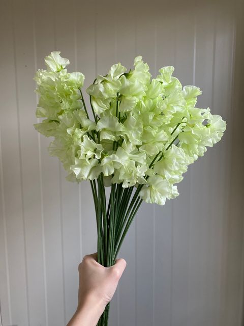 image_249463B3-AC3A-432B-A440-D68602D509ED_1772693137