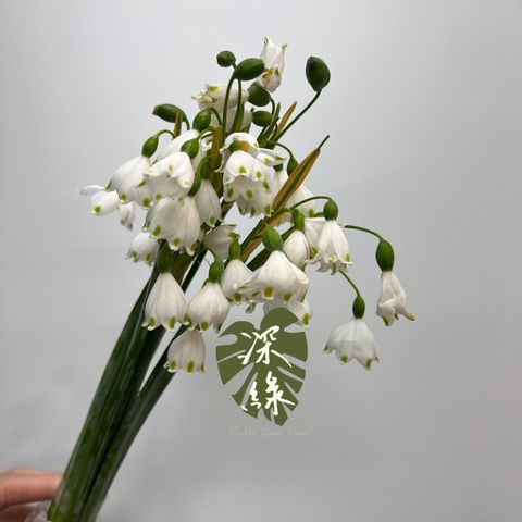 image_06C7272B-4251-4FEC-904E-9D554B0D1A95_1772761483