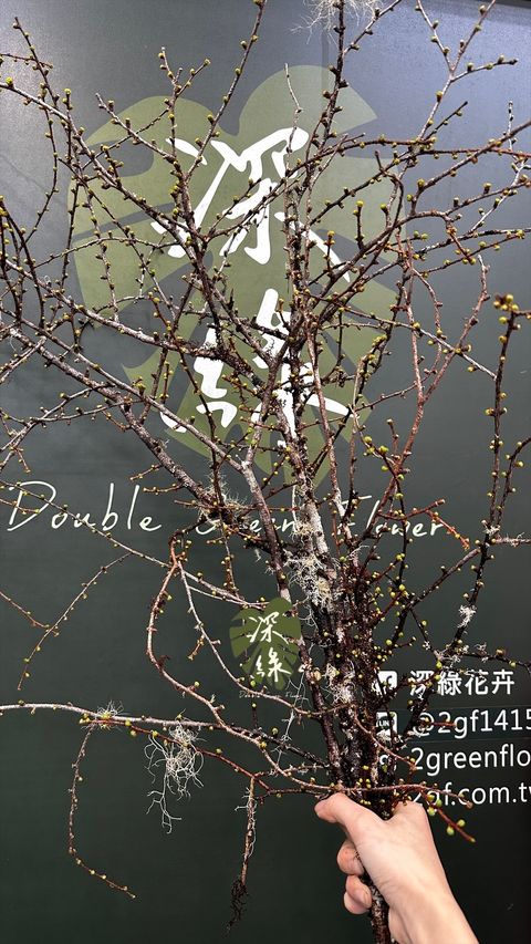 image_0E2D8D73-8C5A-4DB9-B96D-30BFC0C094D8_1772939042