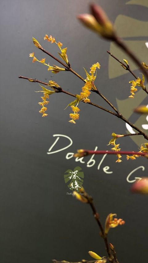 image_BD83C0D8-48A0-4064-BB88-9B5DFF56ED58_1772939076