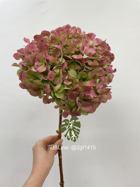 image_8044ACA6-C9BD-4670-A021-441EFC9520D9_1745384579