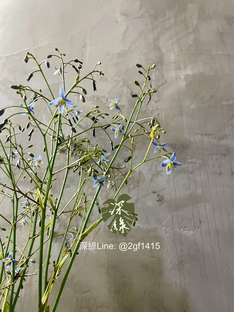 image_3DD1C40E-9312-4FA1-88AF-333C38D22FBA_1773041229