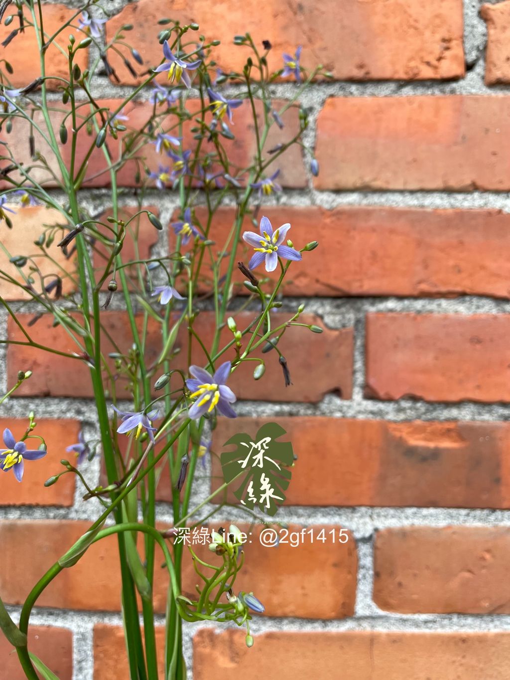 image_30B1586A-D865-482A-AA26-16F3187CFDB4_1773041229