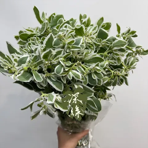 image_DBABF0FB-C19C-4A91-B0D0-3D67AA442D92_1772592739