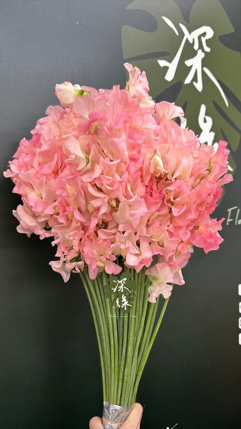 image_ACE0308F-BD64-4ACA-A745-54C4D53B258B_1773120834