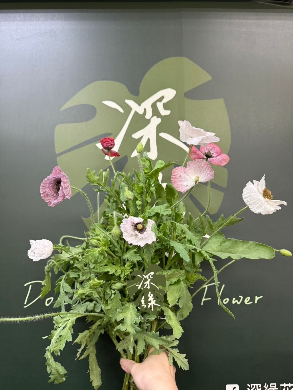 image_206CFF9A-E7DB-403B-9CD7-E00B3529260C_1773120856