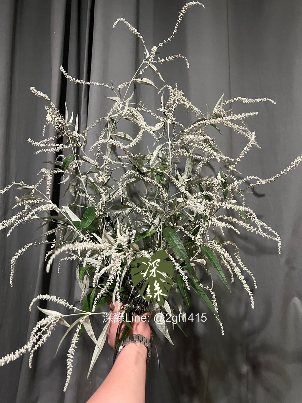 image_C2C9CFD7-ED8F-4F30-AAFC-4E2560A4DEBD_1773041332