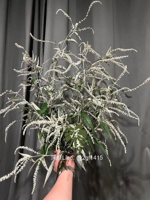 image_C2C9CFD7-ED8F-4F30-AAFC-4E2560A4DEBD_1773041332