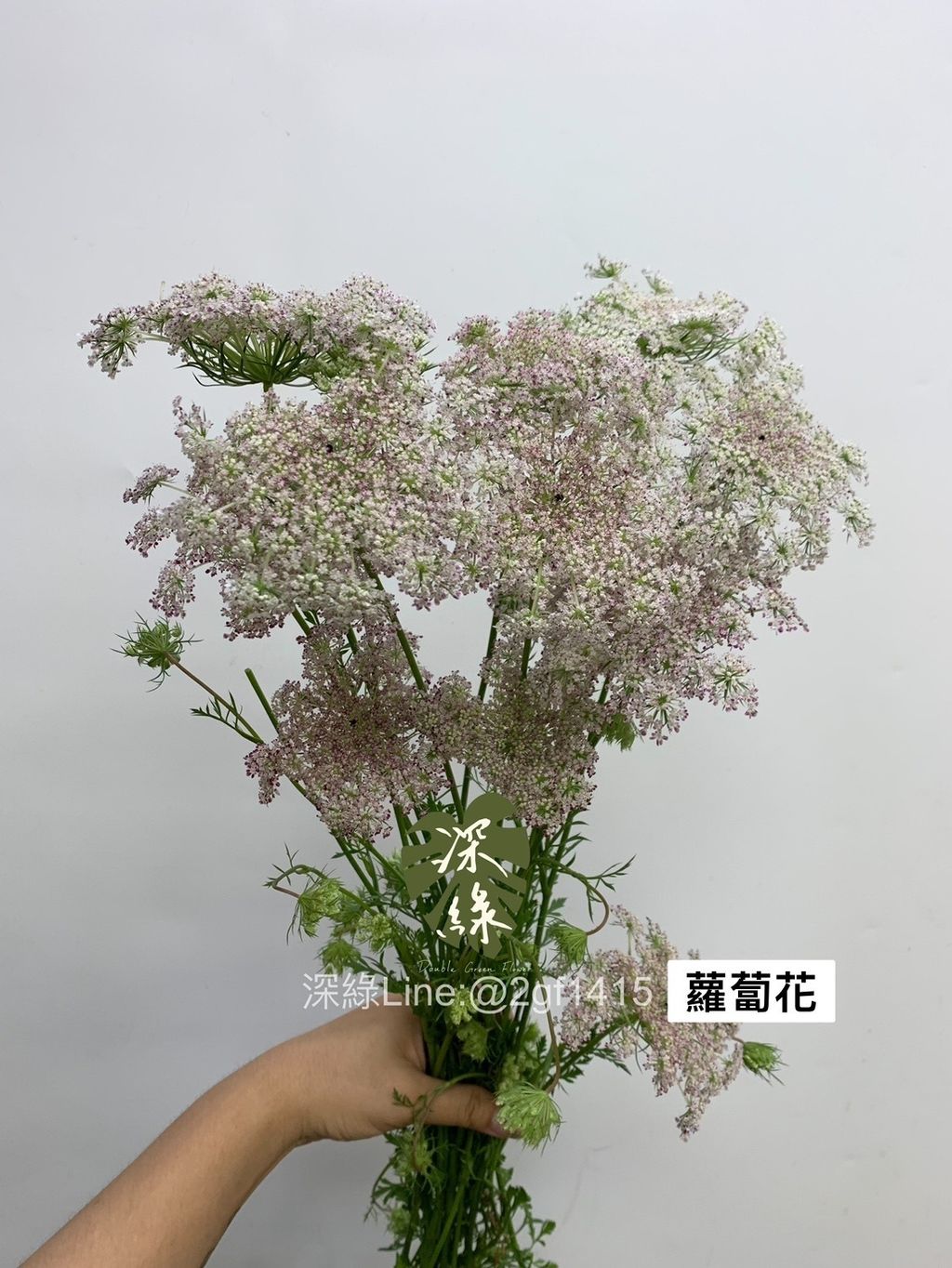 image_430706E8-4A12-43C9-8D6B-B9381857EF27_1745298294