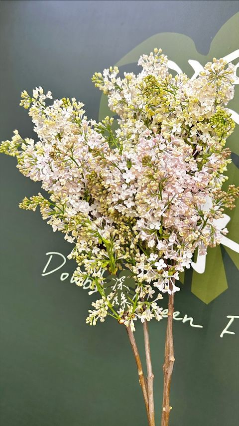 image_C281DCDA-6A6E-4073-B29F-89BB706DD9A0_1773123557