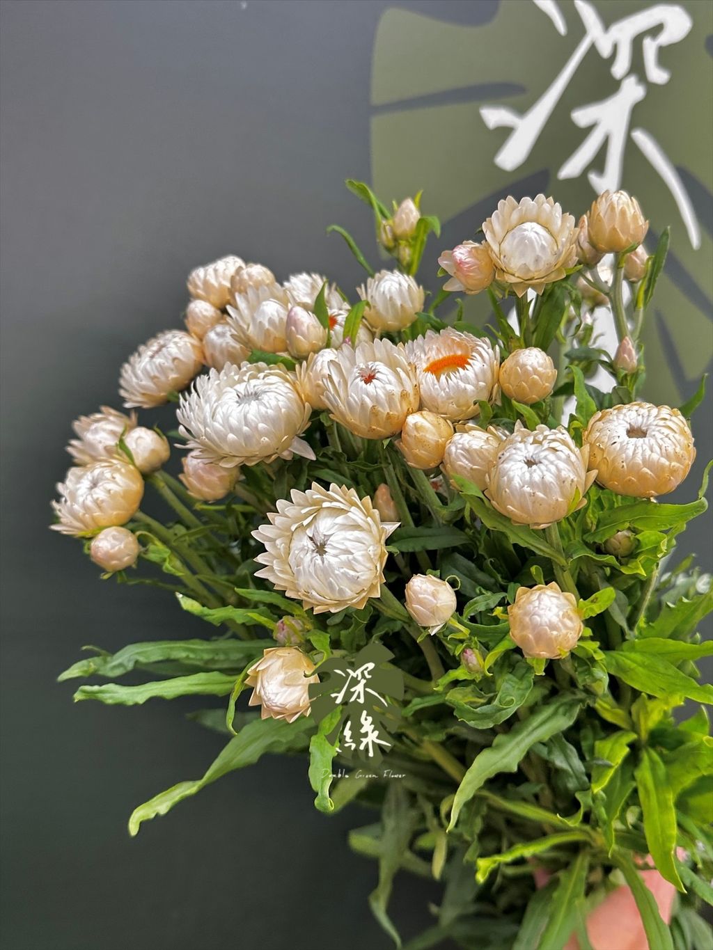 image_FE340098-2484-416D-846D-7CE8D9737A50_1773210669