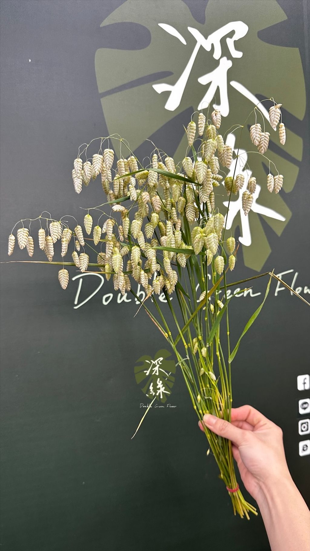 image_DB719F91-5ACB-4F96-ABD7-85BE6B66AF3E_1773210761