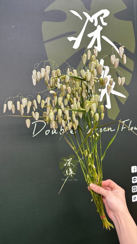 image_DB719F91-5ACB-4F96-ABD7-85BE6B66AF3E_1773210761