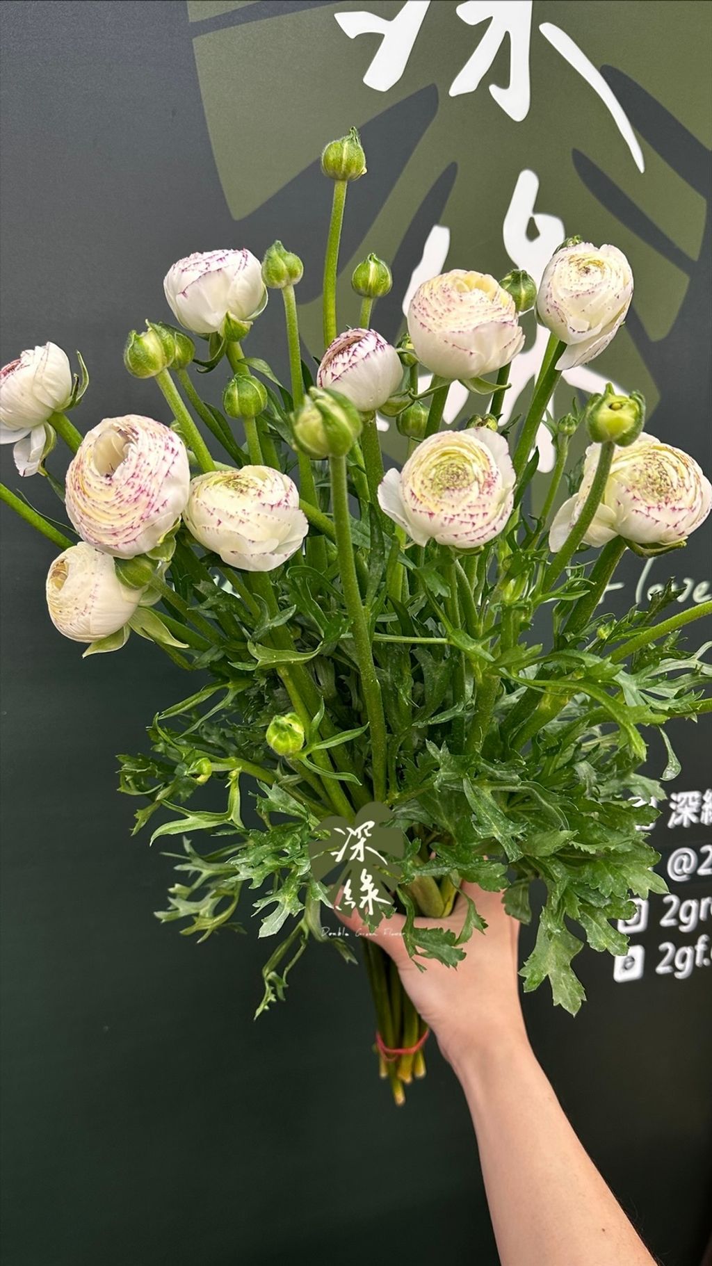 image_D5A2F51B-88E8-4379-BF4B-F4DE78C1D755_1773210792