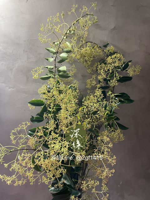 image_14ABB0DD-E2CB-442E-8521-72CB455528FD_1773214884