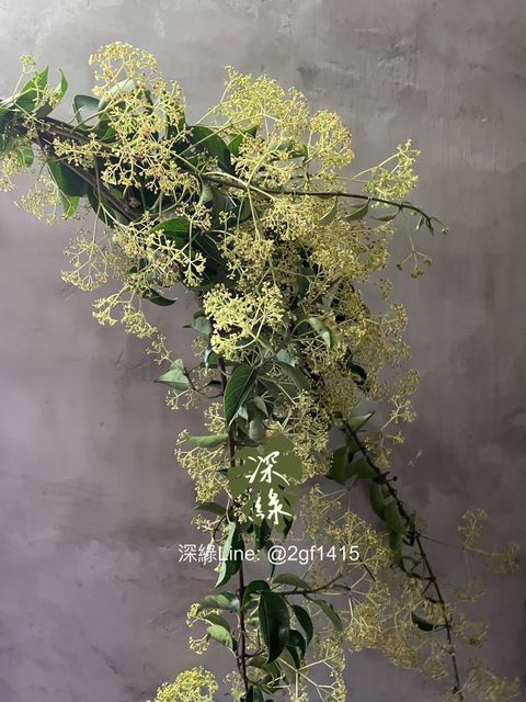 image_90AD8064-AC7A-4548-A8C6-686E75B9600F_1773214884