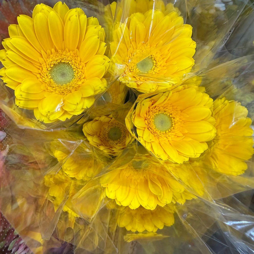 image_DDEBFB46-8FD7-4698-8F0A-E729D9784ADD_1773215673