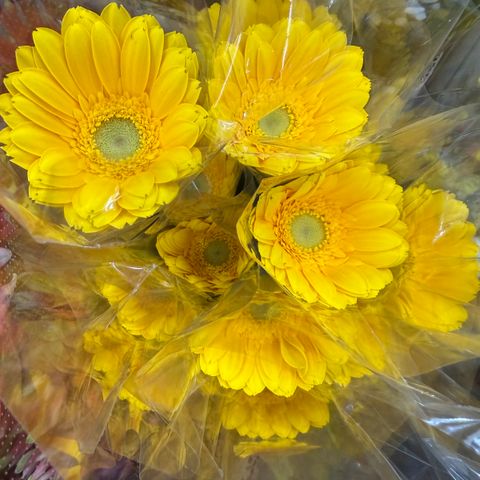 image_DDEBFB46-8FD7-4698-8F0A-E729D9784ADD_1773215673