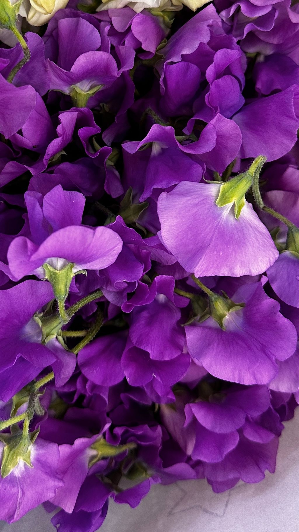 image_2833C5AF-C0F6-4725-9096-A8300C962D7B_1773294406