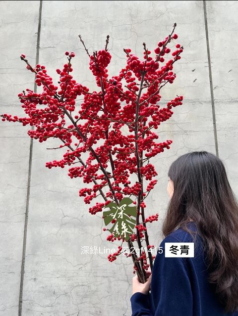 image_4749E8AB-1873-461D-B990-3BC85855B5B4_1773367917