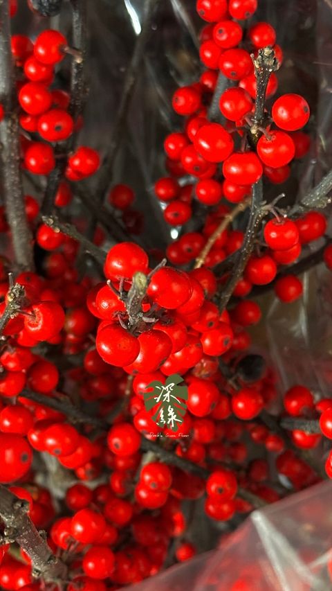 image_F852B188-77A5-4AD1-B6D5-F3A9492B1AE3_1773368995