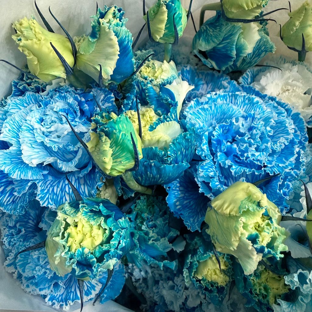 image_31DEFAE6-4140-40DD-9690-F47FAEEC646E_1772522430