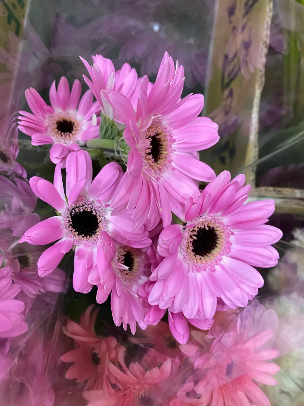 image_5D5C53E4-F5FA-4F26-8F22-7E0D871B9FD0_1748943488