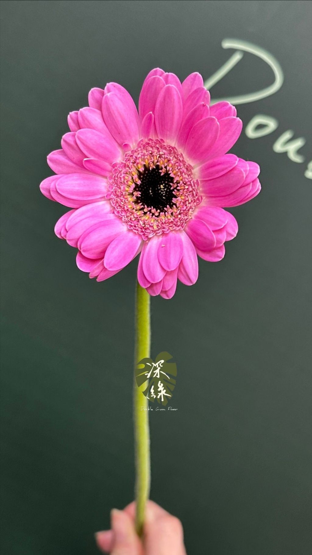 image_F4D852B8-69F0-420B-A0C9-9BB6D8BE130B_1773378961