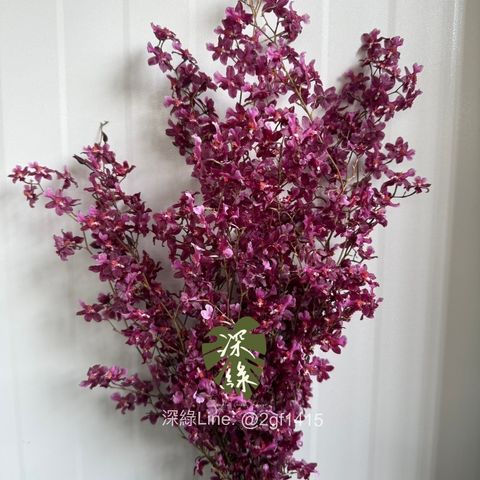 image_F9D45AD3-CF81-40E3-9F05-3A697E27BD50_1771829049