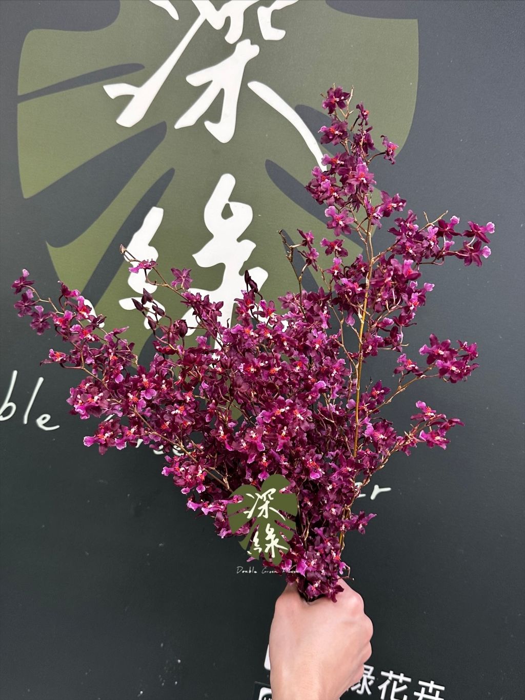 image_AC2B5CC4-55FA-4C81-B203-2BF8DA5FFCA3_1773379529