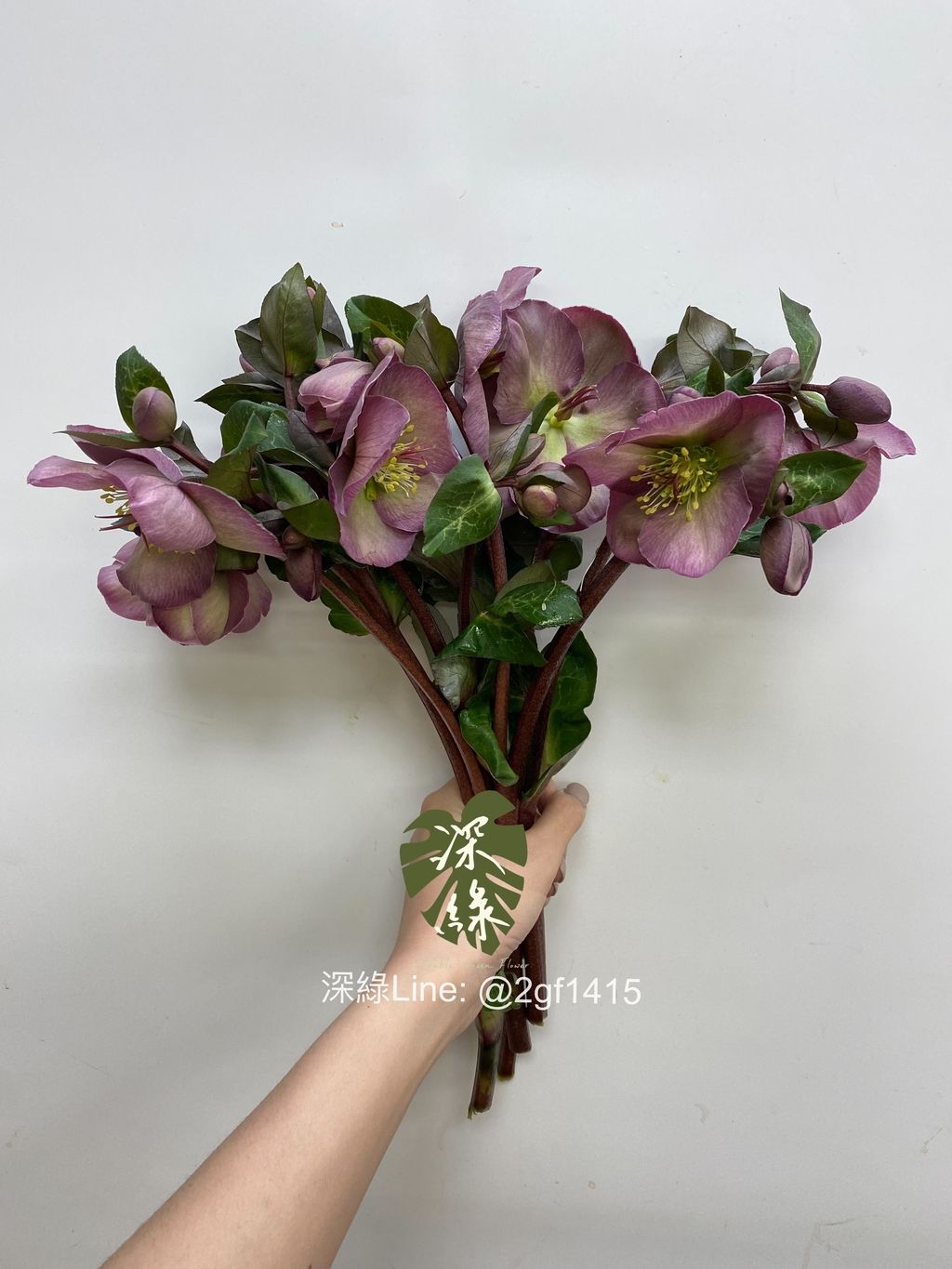 eZy Watermark_22-02-2024_11-53-15-7250上午