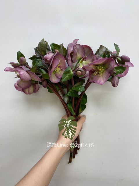 eZy Watermark_22-02-2024_11-53-15-7250上午