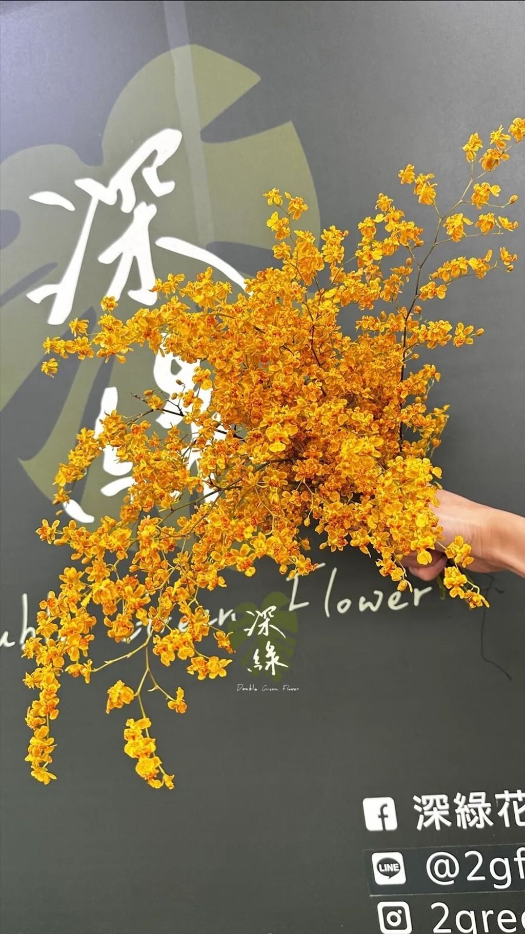 messageImage_1773553831006