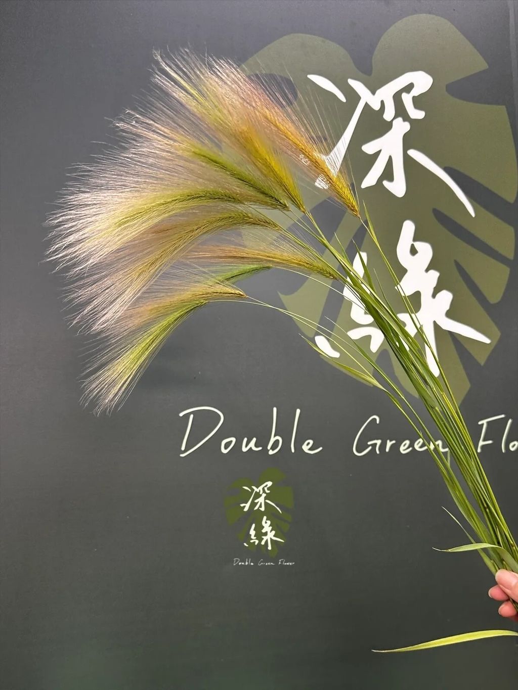 messageImage_1773553944309