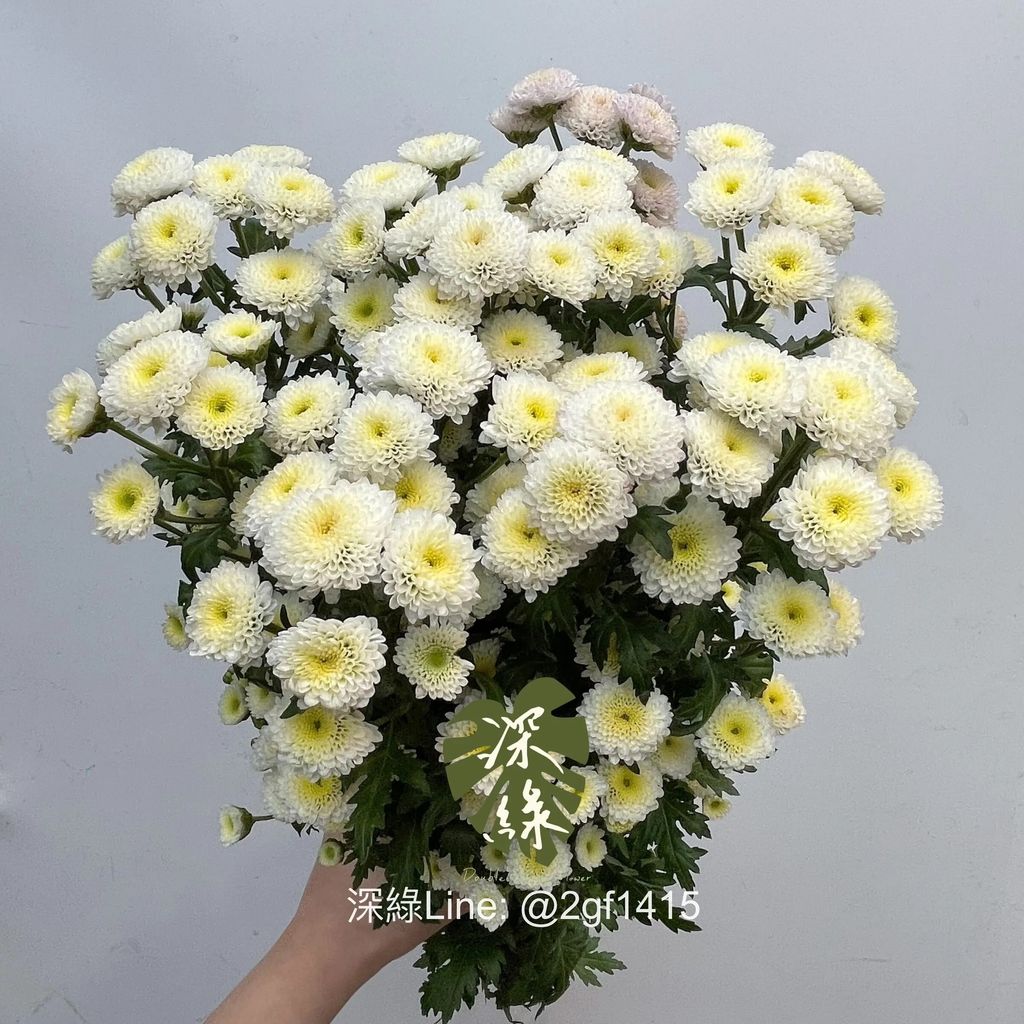 messageImage_1773555853797