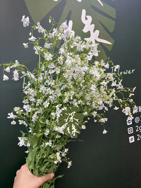 messageImage_1773556474848