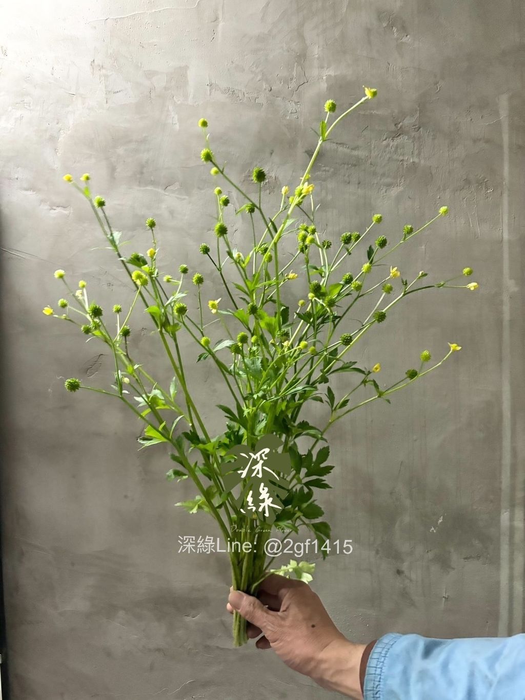 image_065C4194-F5F9-4779-B835-E8FA1B0A0C68_1744018375