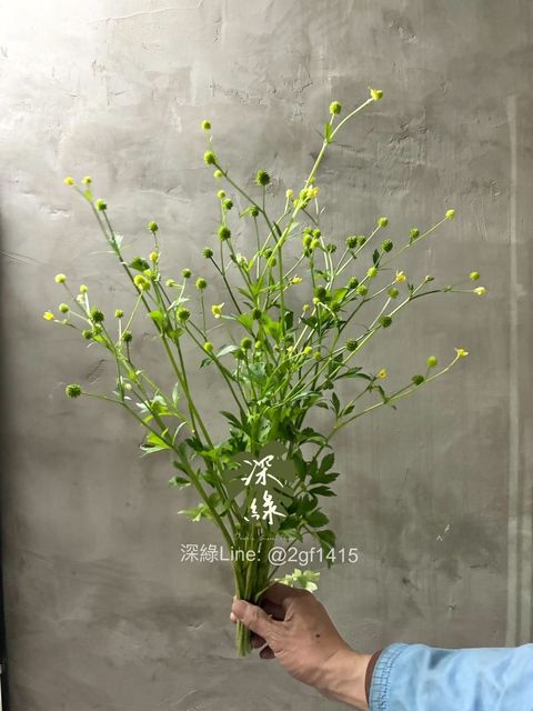 image_065C4194-F5F9-4779-B835-E8FA1B0A0C68_1744018375