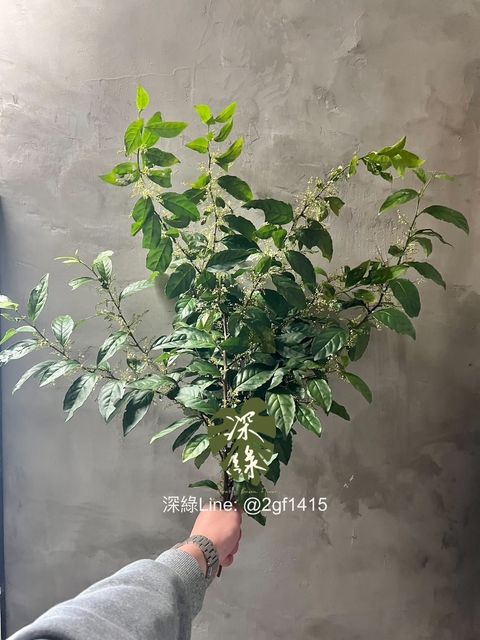 eZy Watermark_29-03-2024_09-04-51-9840上午-1711674334107