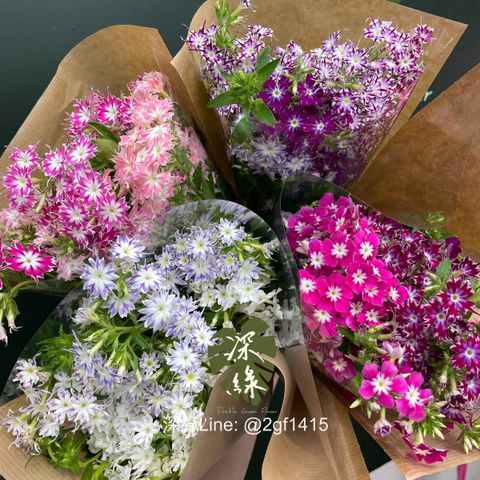 image_F9033318-36A4-49C4-8A90-9A1C7A2F8458_1772591409