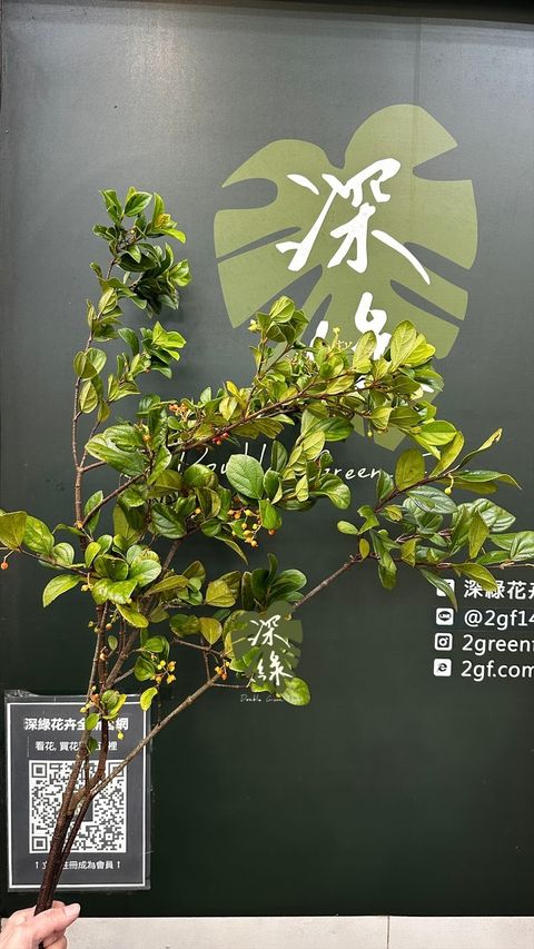 image_2E69D3B8-52EF-4241-94D8-2D28505DB678_1772938866