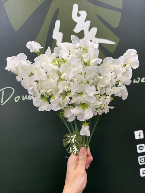 image_D146C49A-FF32-4F6B-8846-2DE44361C108_1773634189