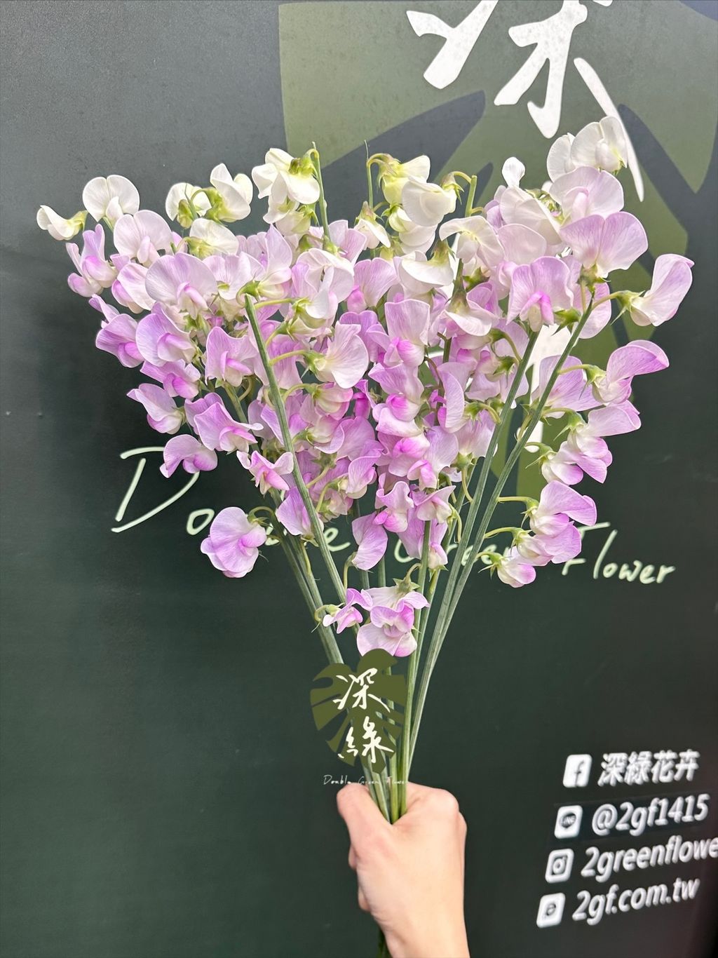 image_6B4B262E-F840-46A8-813D-A4D24CC99D27_1773634209