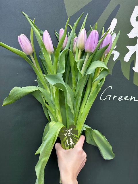 image_74C1A17A-0ADA-4398-9879-F845E2F1DACF_1773634292