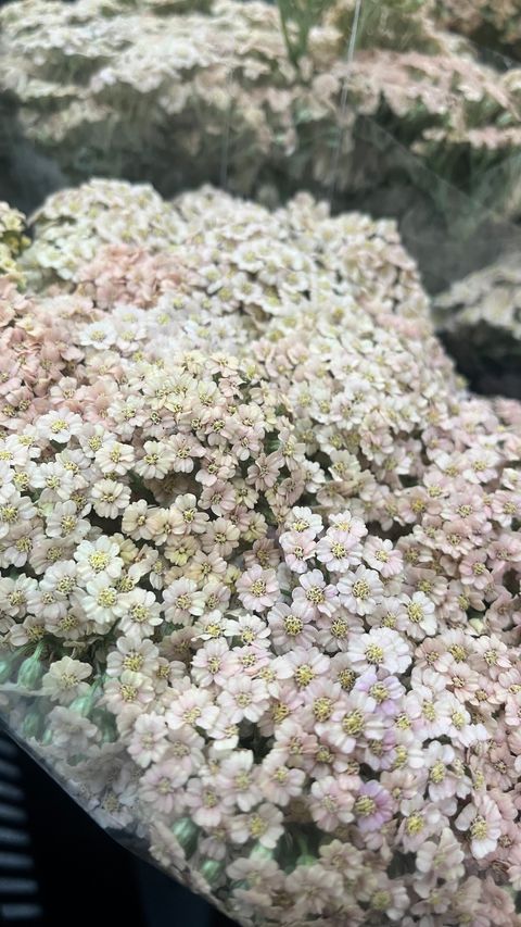 image_80EFA735-6939-4AC6-9449-2D89449F9550_1773645895