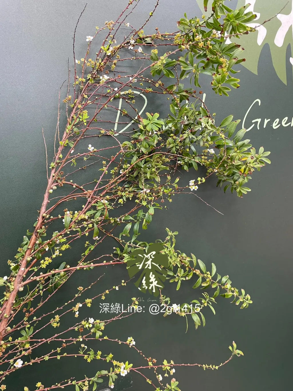 image_0B8B45E6-7C7F-49AB-A42E-30A9376C2A38_1772508215