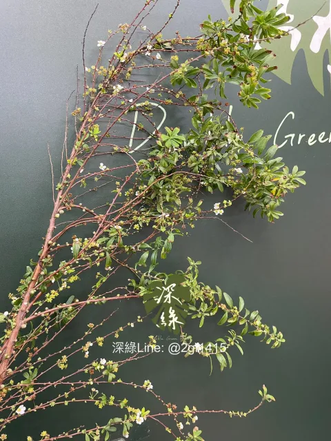 image_0B8B45E6-7C7F-49AB-A42E-30A9376C2A38_1772508215