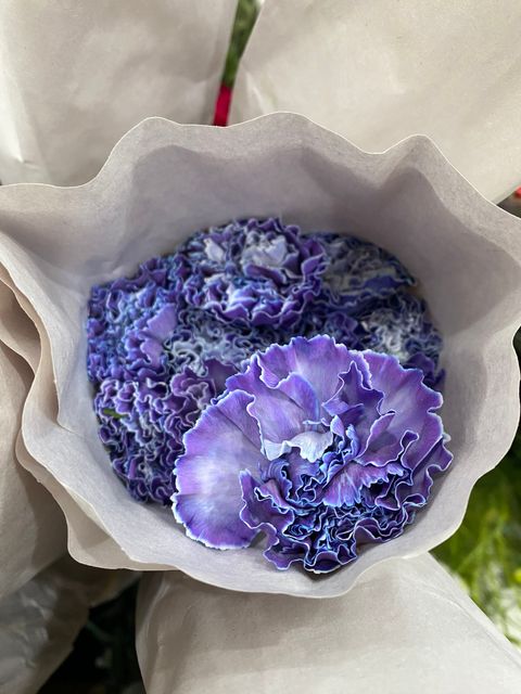 image_D9327102-4AF5-4660-AFC6-17DE79A1490C_1773649250