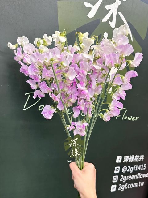 messageImage_1773687525785